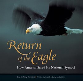 Cover image for Return of the Eagle