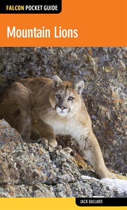 Cover image for Mountain Lions