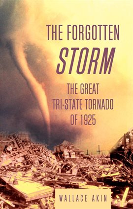 Imagen de portada para The Forgotten Storm