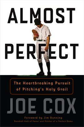 Cover image for Almost Perfect