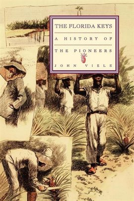 Imagen de portada para A History of the Pioneers