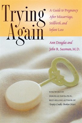 Cover image for Trying Again