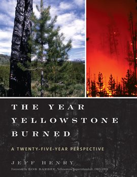 Cover image for The Year Yellowstone Burned