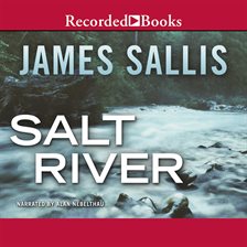 Cover image for Salt River