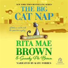 Cover image for The Big Cat Nap