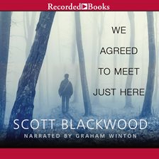 Cover image for We Agreed to Meet Just Here