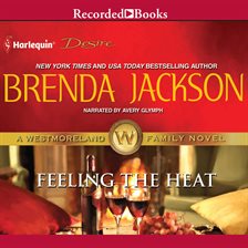 Cover image for Feeling the Heat