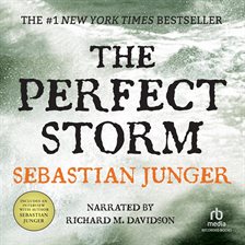 Cover image for The Perfect Storm