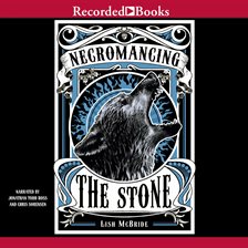 Cover image for Necromancing the Stone