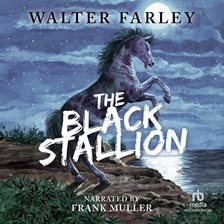 Cover image for The Black Stallion