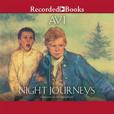 Cover image for Night Journeys