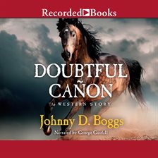Cover image for Doubtful Canon