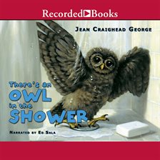 Cover image for There's an Owl in the Shower