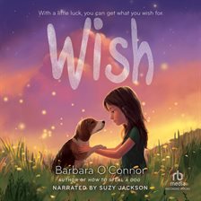 Imagen de portada para Wish
