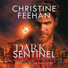 Cover image for Dark Sentinel
