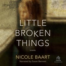 Cover image for Little Broken Things