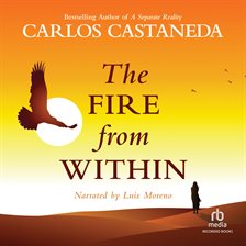 Cover image for The Fire from Within