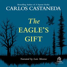 Cover image for The Eagle's Gift
