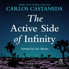 Cover image for The Active Side of Infinity