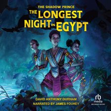 Cover image for The Longest Night in Egypt