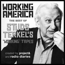 Cover image for Working in America
