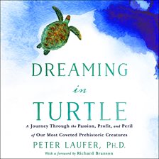 Cover image for Dreaming in Turtle