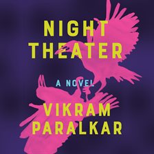 Cover image for Night Theater
