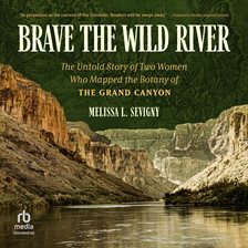 Cover image for Brave the Wild River