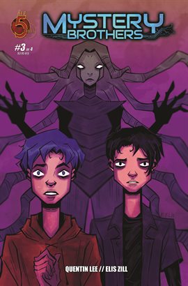 Cover image for Mystery Brothers