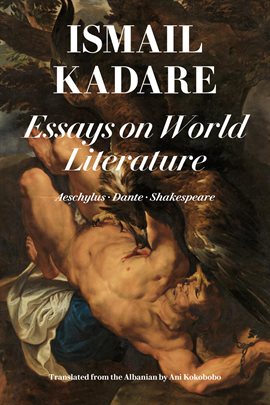 Cover image for Essays on World Literature