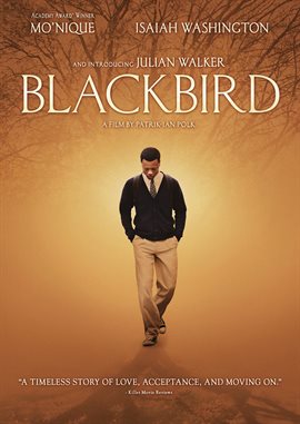 Cover image for Blackbird