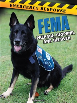 Cover image for FEMA