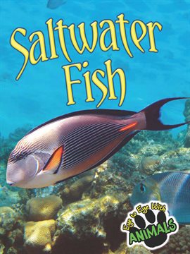 Cover image for Saltwater Fish