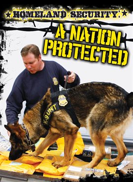 Cover image for Homeland Security