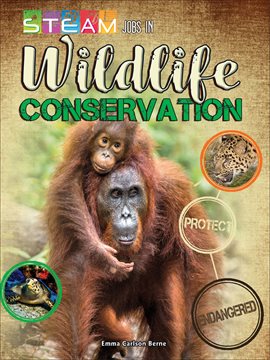 Cover image for STEAM Jobs in Wildlife Conservation