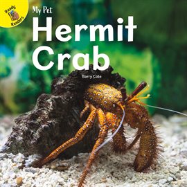 Cover image for Hermit Crab