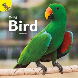 Cover image for Bird