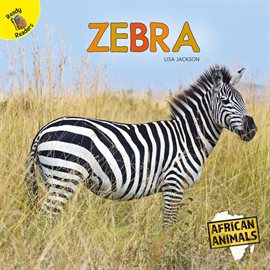 Cover image for African Animals Zebra