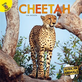 Cover image for Cheetah