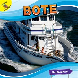 Cover image for Bote