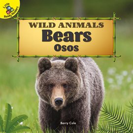 Cover image for Bears