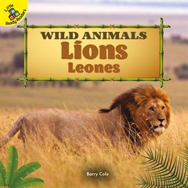 Cover image for Lions