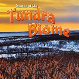 Cover image for Seasons Of The Tundra Biome