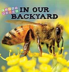 Cover image for In Our Backyard