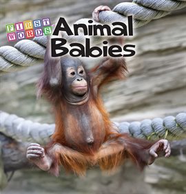 Imagen de portada para Animal Babies