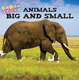 Cover image for Animals Big and Small