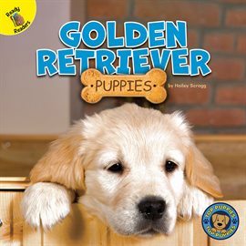 Cover image for Golden Retriever Puppies