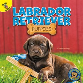 Cover image for Labrador Retriever Puppies