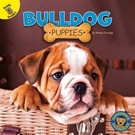 Cover image for Bulldog Puppies