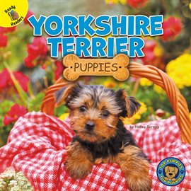 Cover image for Yorkshire Terrier Puppies
